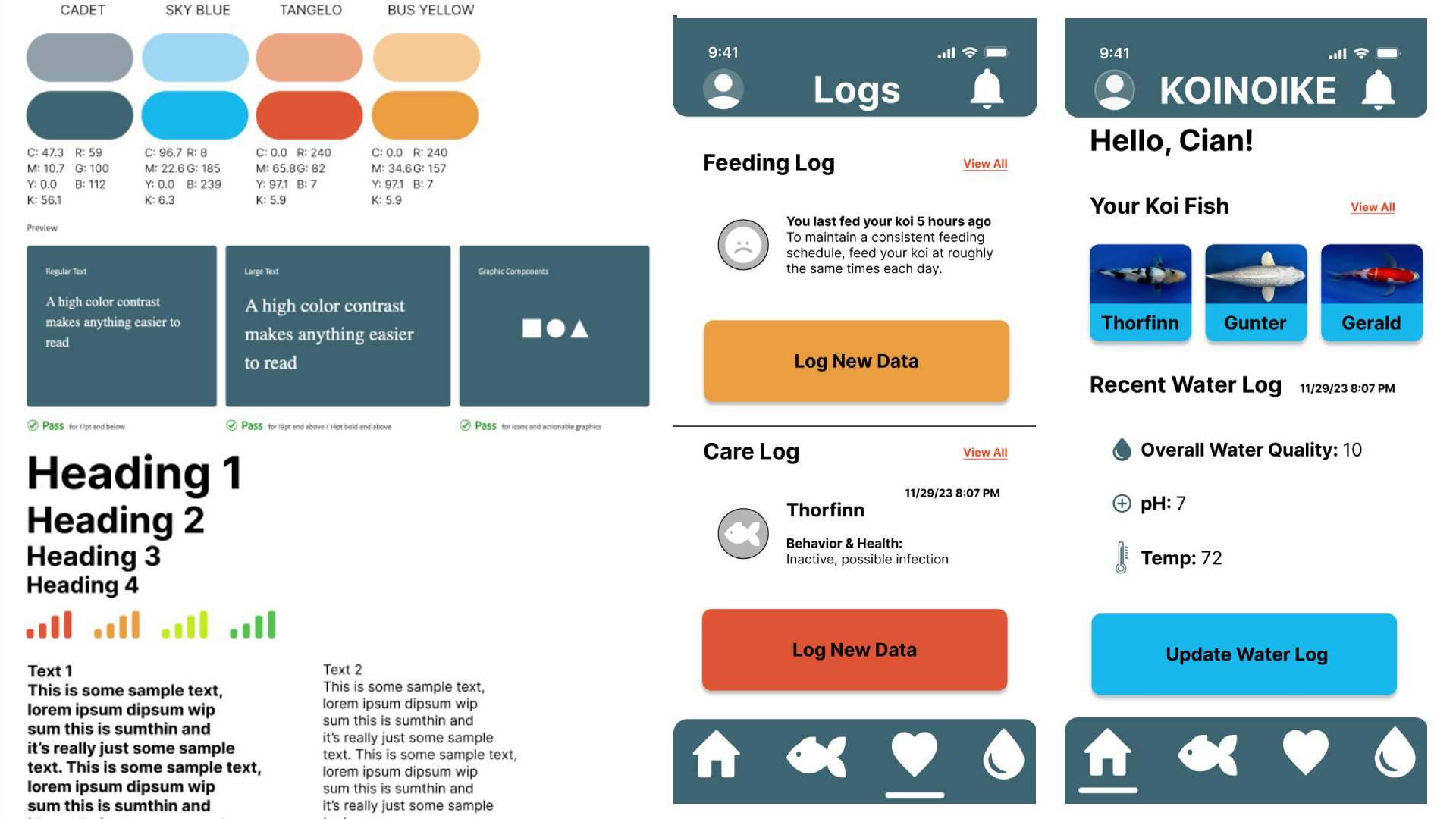 Koinoike branding project emphasizing visual hierarchy, typography, and product identity design.